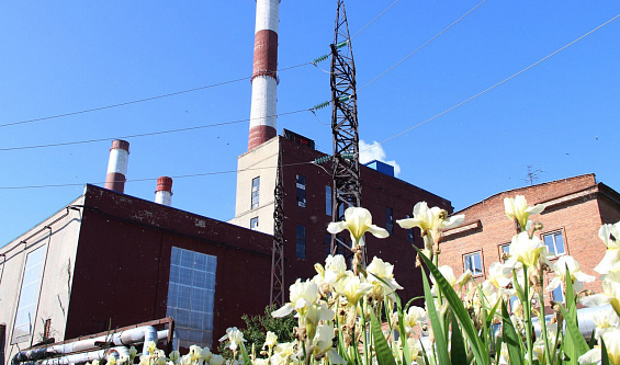 РИР Энерго направит на реализацию экологических мероприятий в Курске более 7,5 млн рублей